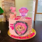 Paw Patrol - Skye