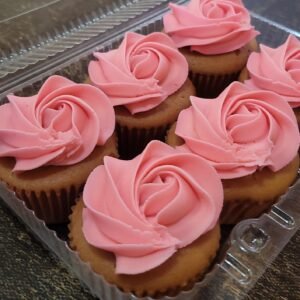 12 Classic Cupcake (colour request)